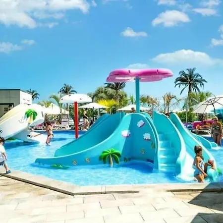 Endless Summer Complex Alezzi *